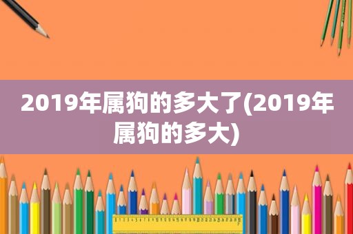 2019年属狗的多大了(2019年属狗的多大)