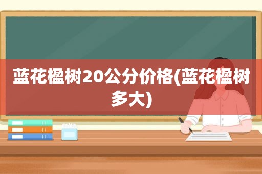 蓝花楹树20公分价格(蓝花楹树多大)