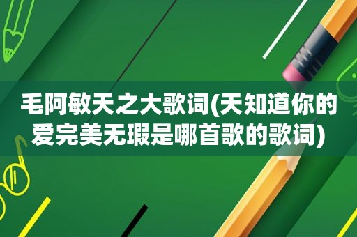 毛阿敏天之大歌词(天知道你的爱完美无瑕是哪首歌的歌词)