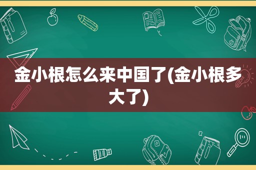 金小根怎么来中国了(金小根多大了)