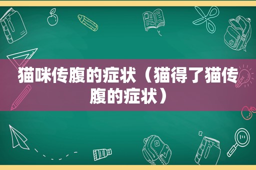 猫咪传腹的症状（猫得了猫传腹的症状）