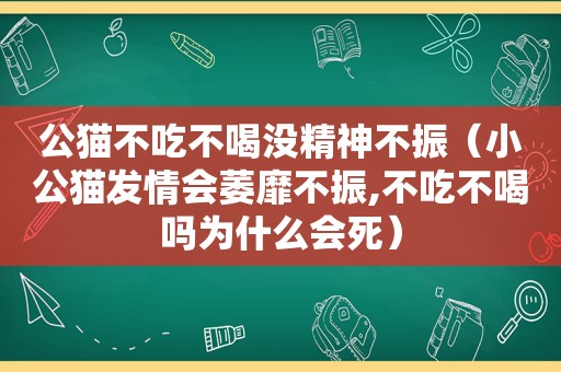 公猫不吃不喝没精神不振（小公猫 *** 会萎靡不振,不吃不喝吗为什么会死）