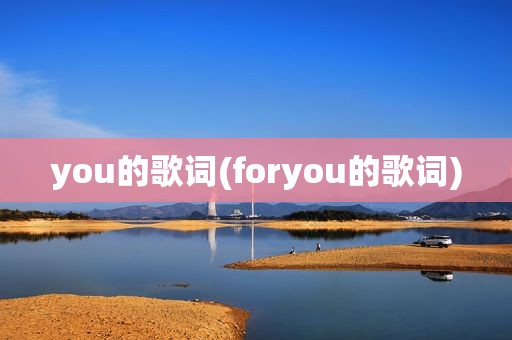 you的歌词(foryou的歌词)