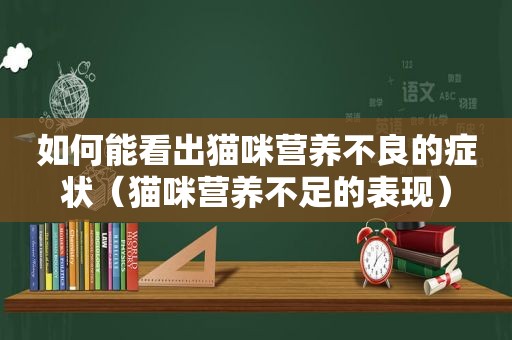 如何能看出猫咪营养不良的症状（猫咪营养不足的表现）