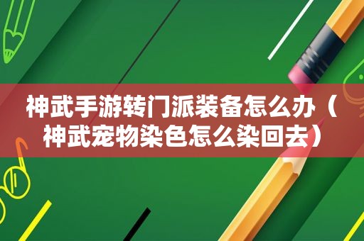 神武手游转门派装备怎么办（神武宠物染色怎么染回去）