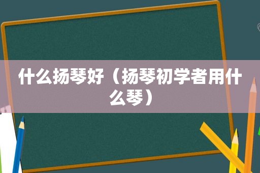 什么扬琴好（扬琴初学者用什么琴）