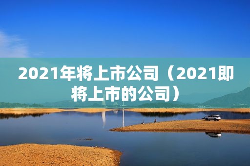 2021年将上市公司（2021即将上市的公司）