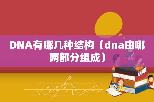 DNA有哪几种结构（dna由哪两部分组成）