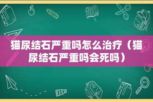 猫尿结石严重吗怎么治疗（猫尿结石严重吗会死吗）