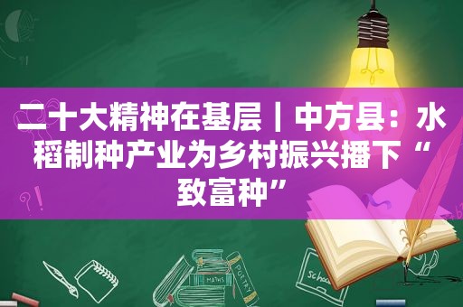 二十大精神在基层｜中方县：水稻制种产业为乡村振兴播下“致富种”