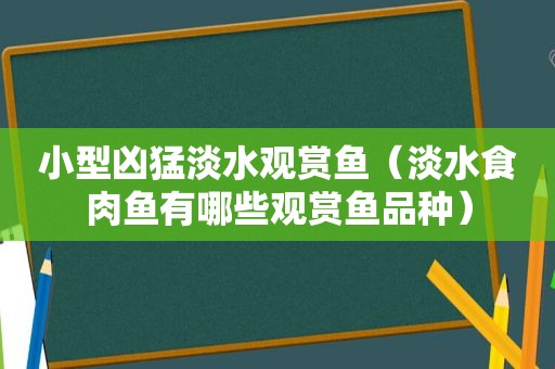 小型凶猛淡水观赏鱼（淡水食肉鱼有哪些观赏鱼品种）