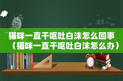 猫咪一直干呕吐白沫怎么回事（猫咪一直干呕吐白沫怎么办）