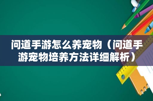 问道手游怎么养宠物（问道手游宠物培养方法详细解析）