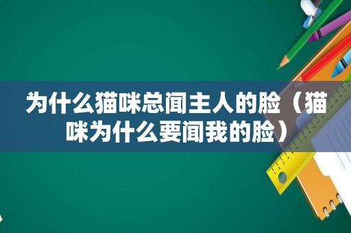 为什么猫咪总闻主人的脸（猫咪为什么要闻我的脸）