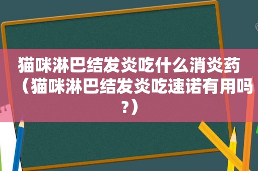 猫咪淋巴结发炎吃什么消炎药（猫咪淋巴结发炎吃速诺有用吗?）