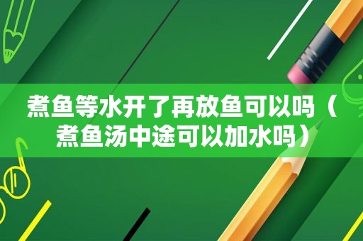 煮鱼等水开了再放鱼可以吗（煮鱼汤中途可以加水吗）