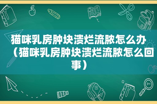 猫咪 *** 肿块溃烂流脓怎么办（猫咪 *** 肿块溃烂流脓怎么回事）