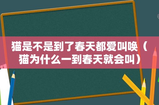 猫是不是到了春天都爱叫唤（猫为什么一到春天就会叫）