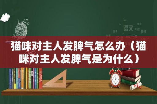 猫咪对主人发脾气怎么办（猫咪对主人发脾气是为什么）