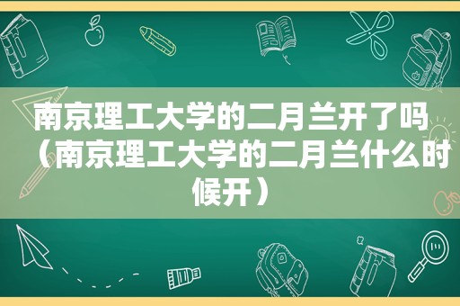 南京理工大学的二月兰开了吗（南京理工大学的二月兰什么时候开）