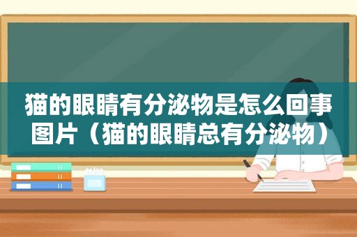 猫的眼睛有分泌物是怎么回事图片（猫的眼睛总有分泌物）