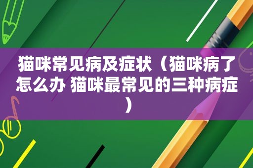 猫咪常见病及症状（猫咪病了怎么办 猫咪最常见的三种病症）