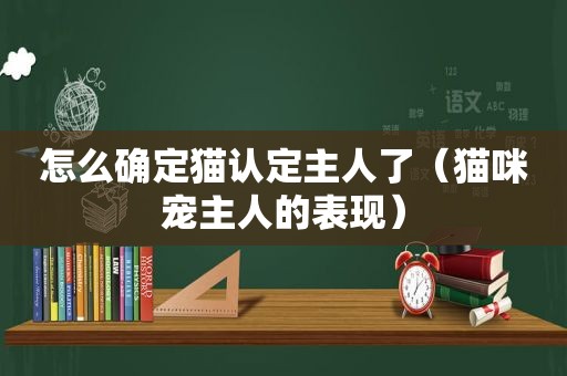 怎么确定猫认定主人了（猫咪宠主人的表现）