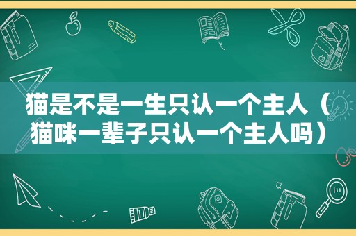 猫是不是一生只认一个主人（猫咪一辈子只认一个主人吗）