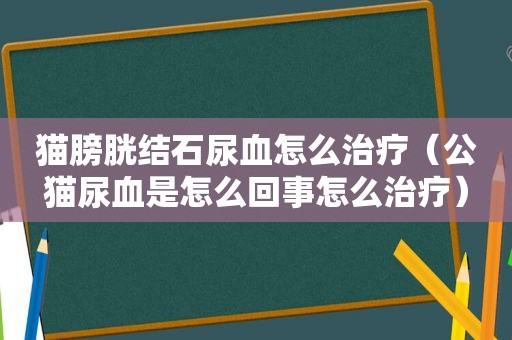 猫膀胱结石尿血怎么治疗（公猫尿血是怎么回事怎么治疗）