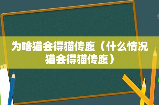 为啥猫会得猫传腹（什么情况猫会得猫传腹）