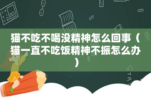 猫不吃不喝没精神怎么回事（猫一直不吃饭精神不振怎么办）