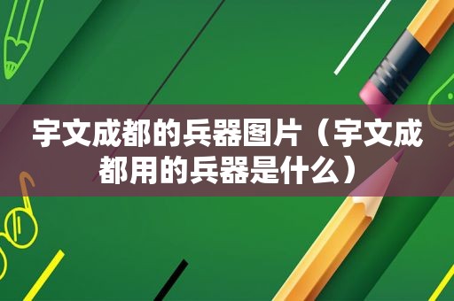 宇文成都的兵器图片（宇文成都用的兵器是什么）