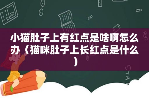 小猫肚子上有红点是啥啊怎么办（猫咪肚子上长红点是什么）