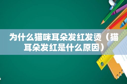 为什么猫咪耳朵发红发烫（猫耳朵发红是什么原因）