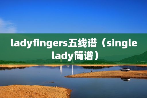 ladyfingers五线谱（single lady简谱）