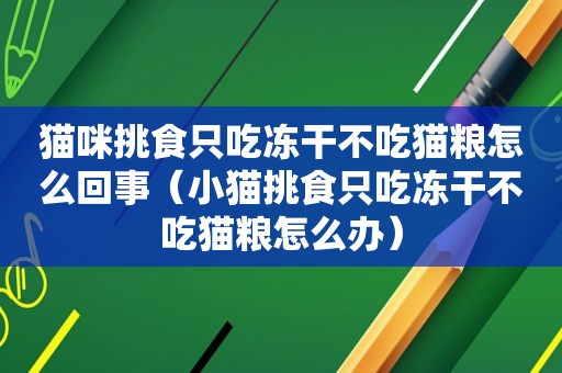 猫咪挑食只吃冻干不吃猫粮怎么回事（小猫挑食只吃冻干不吃猫粮怎么办）