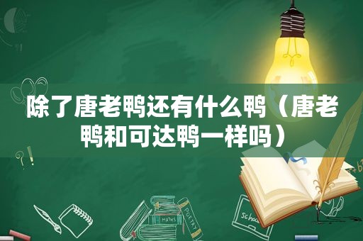 除了唐老鸭还有什么鸭（唐老鸭和可达鸭一样吗）