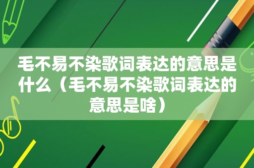 毛不易不染歌词表达的意思是什么（毛不易不染歌词表达的意思是啥）