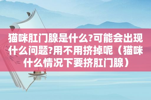 猫咪 *** 腺是什么?可能会出现什么问题?用不用挤掉呢（猫咪什么情况下要挤 *** 腺）