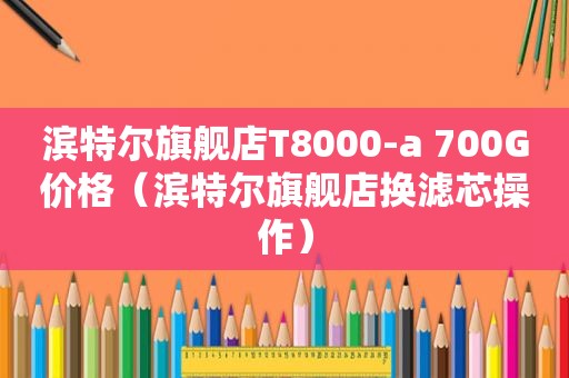 滨特尔旗舰店T8000-a 700G价格（滨特尔旗舰店换滤芯操作）