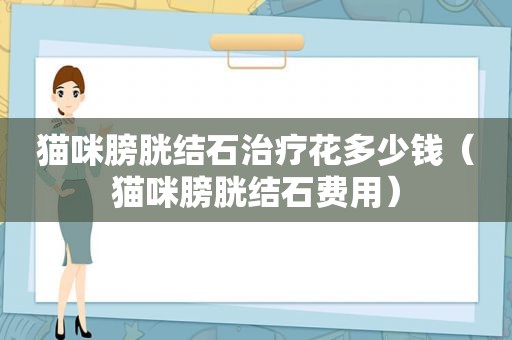 猫咪膀胱结石治疗花多少钱（猫咪膀胱结石费用）