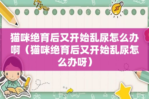 猫咪绝育后又开始乱尿怎么办啊（猫咪绝育后又开始乱尿怎么办呀）