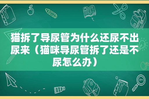 猫拆了导尿管为什么还尿不出尿来（猫咪导尿管拆了还是不尿怎么办）