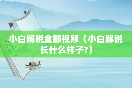 小白解说全部视频（小白解说长什么样子?）