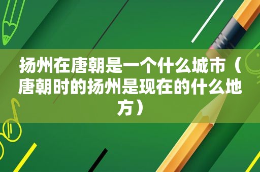 扬州在唐朝是一个什么城市（唐朝时的扬州是现在的什么地方）