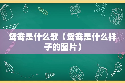 鸳鸯是什么歌（鸳鸯是什么样子的图片）