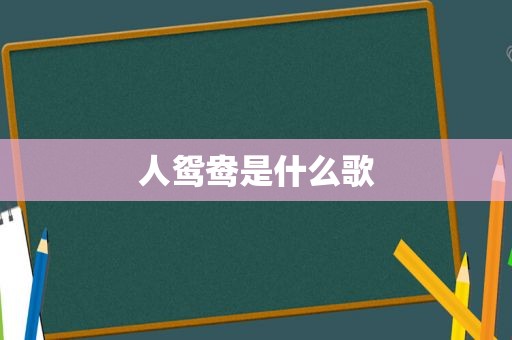 人鸳鸯是什么歌