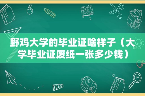 野鸡大学的 *** 啥样子（大学 *** 废纸一张多少钱）