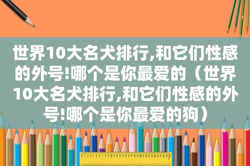 世界10大名犬排行,和它们性感的外号!哪个是你最爱的（世界10大名犬排行,和它们性感的外号!哪个是你最爱的狗）