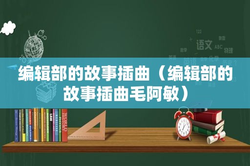 编辑部的故事插曲（编辑部的故事插曲毛阿敏）